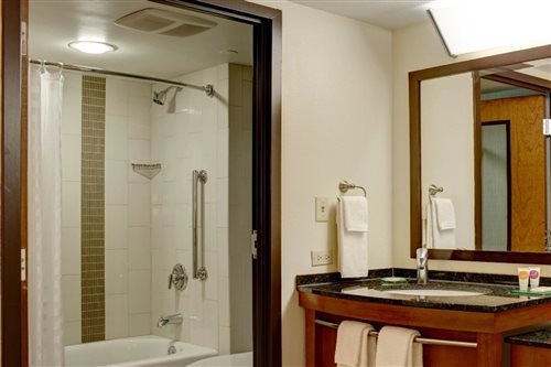 Room, King Bed, Sofa, Bathtub, Accessible