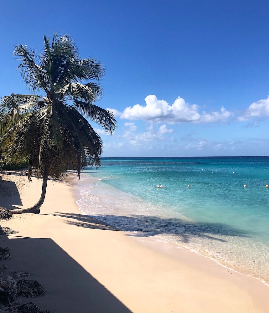 Sunswept Beach Hotel 27/44