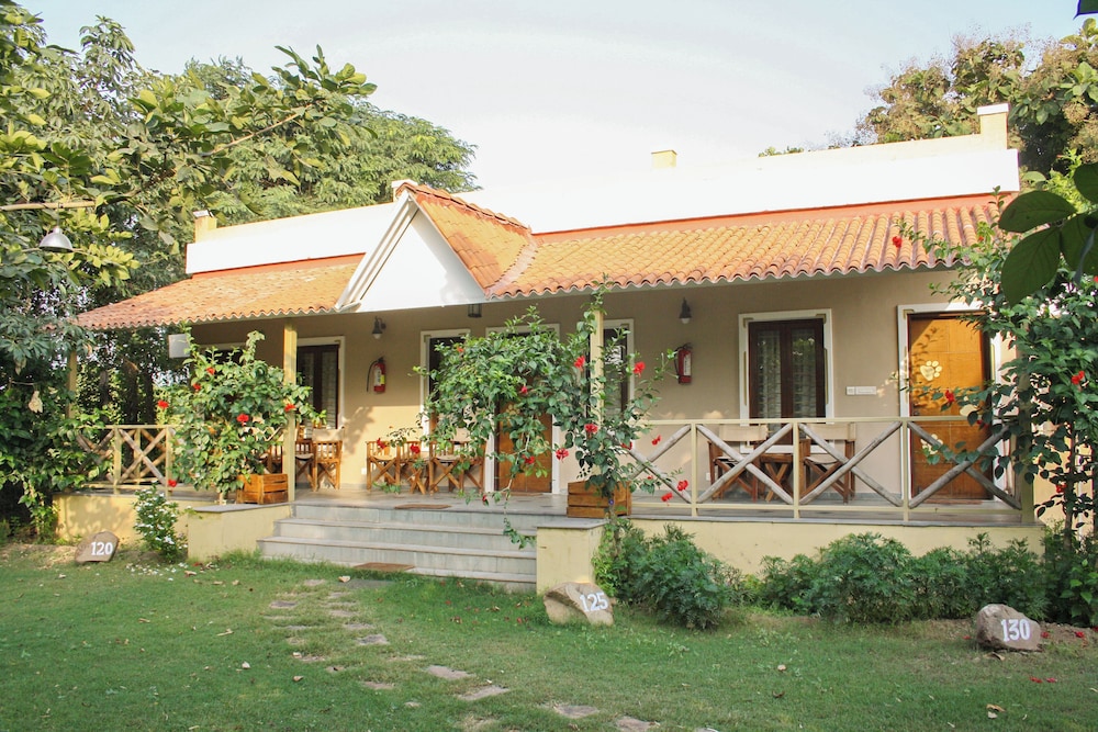 Asiatic Lion Lodge 3/50