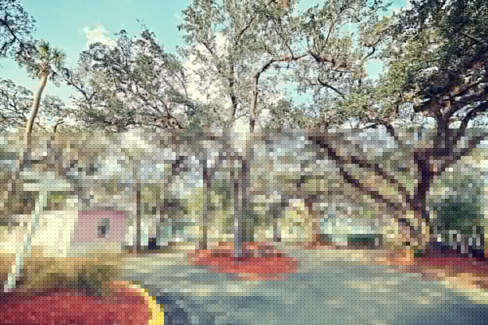 Tropical Palms Resort 42/50
