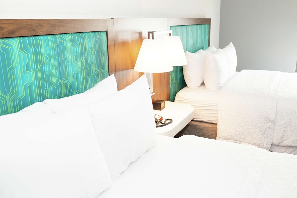 Hampton Inn and Suites Dundee 26/55