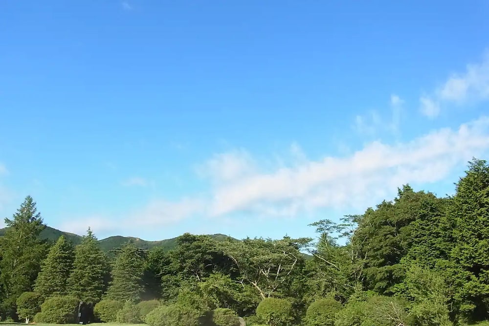 Fuji-Hakone Guest House 26/29