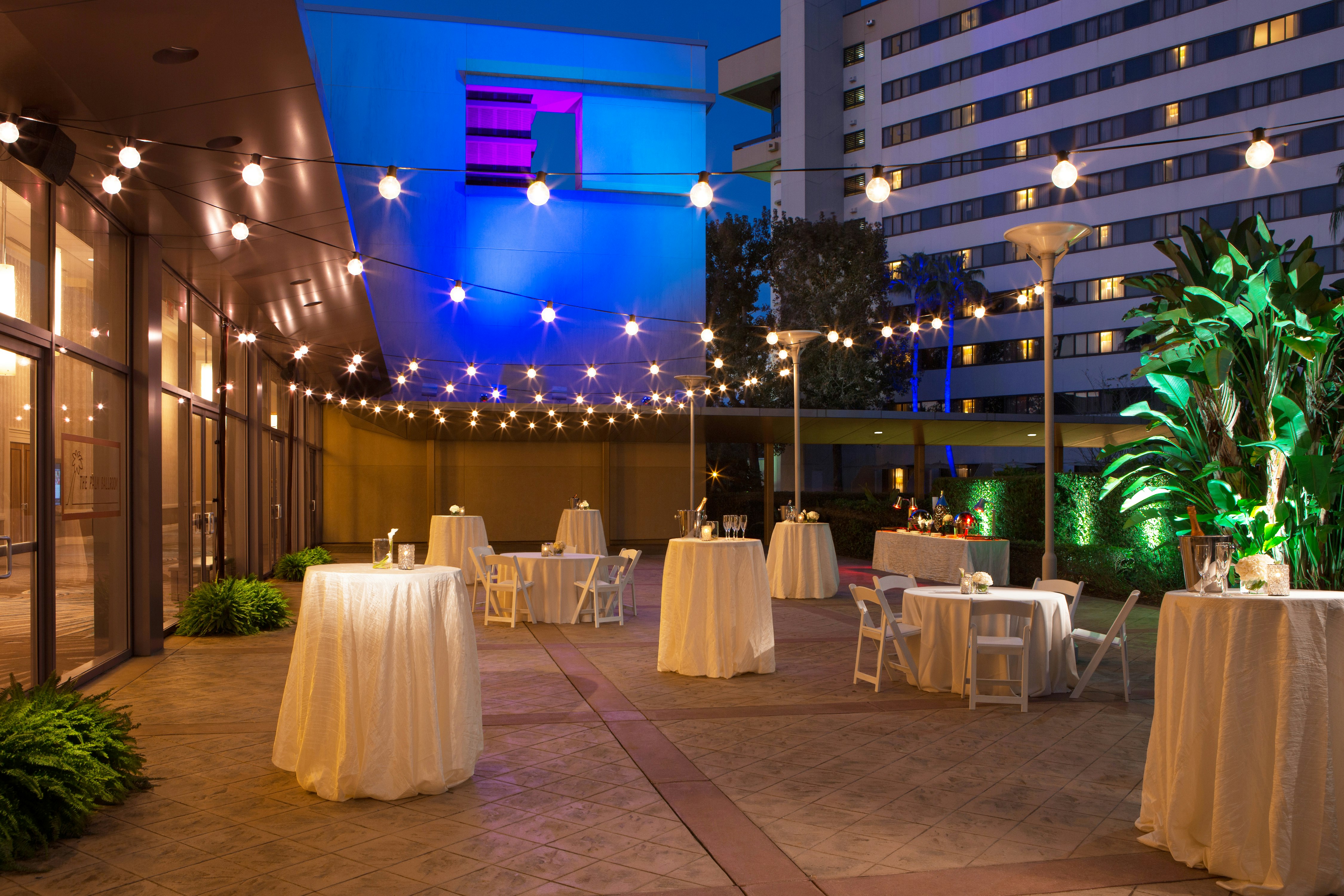 Hilton Orlando Lake Buena Vista - Disney Springs Area 62/62