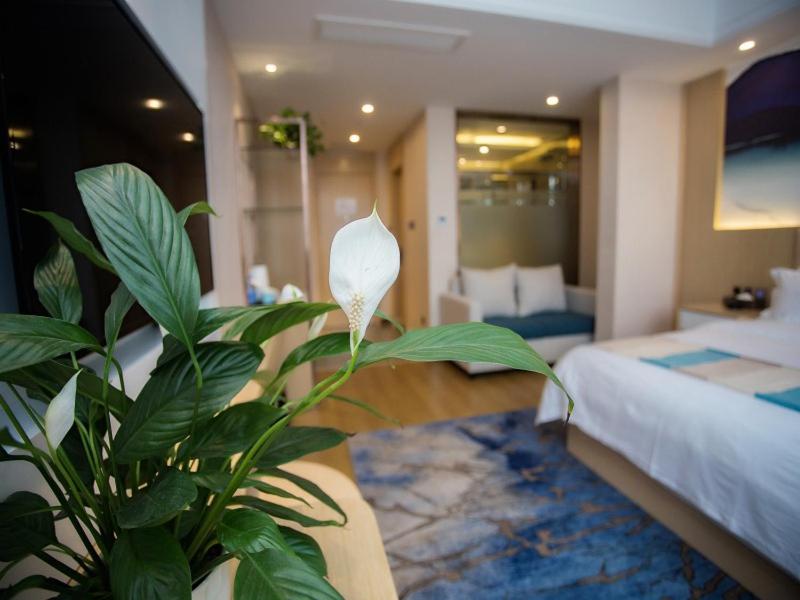 VX Heze Dingtao District Taoyi Road Hotel 25/41