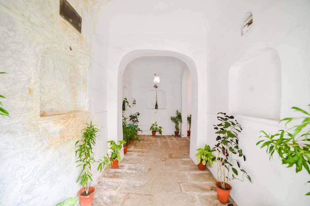 Hotel Saba Haveli 41/50