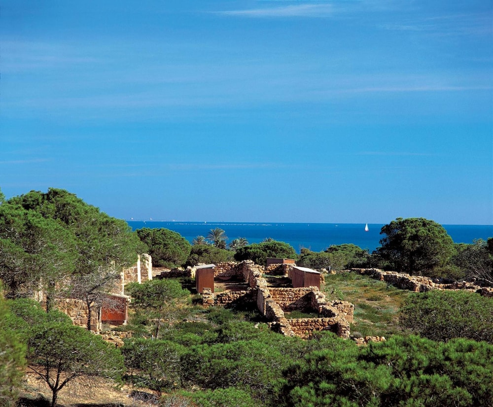 HOTEL MEDITERRANEO 48/52