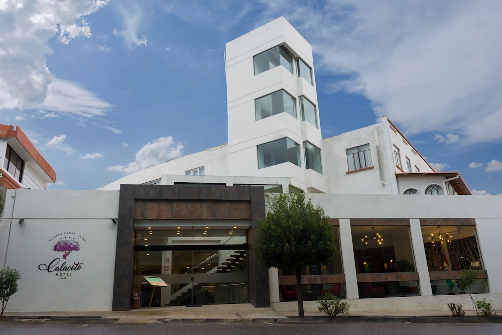 HOTEL CALACOTO 2/47