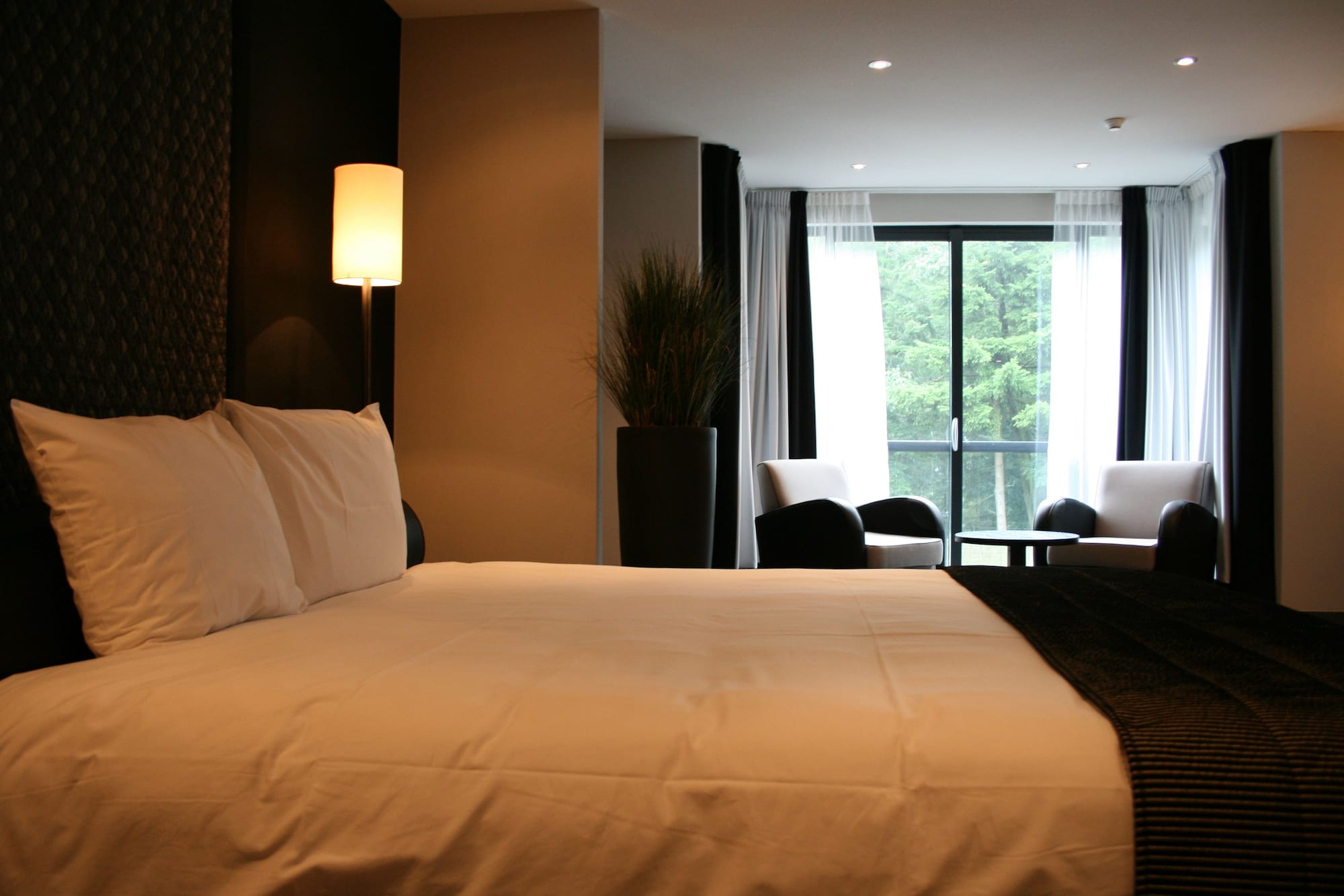 Suite, King Bed
