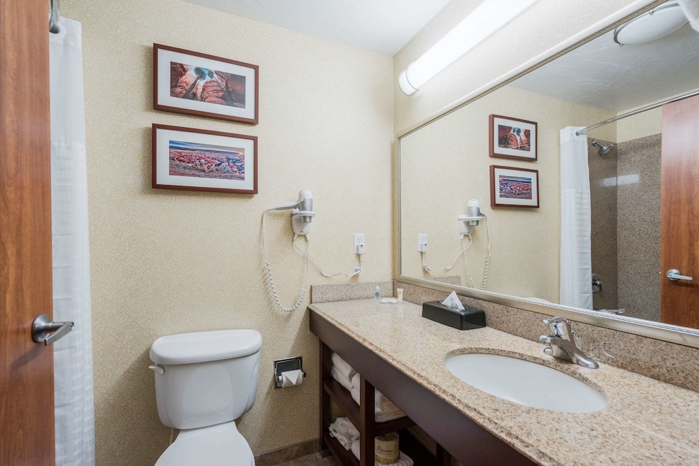 Comfort Inn & Suites Cedar City South, UT 17/36