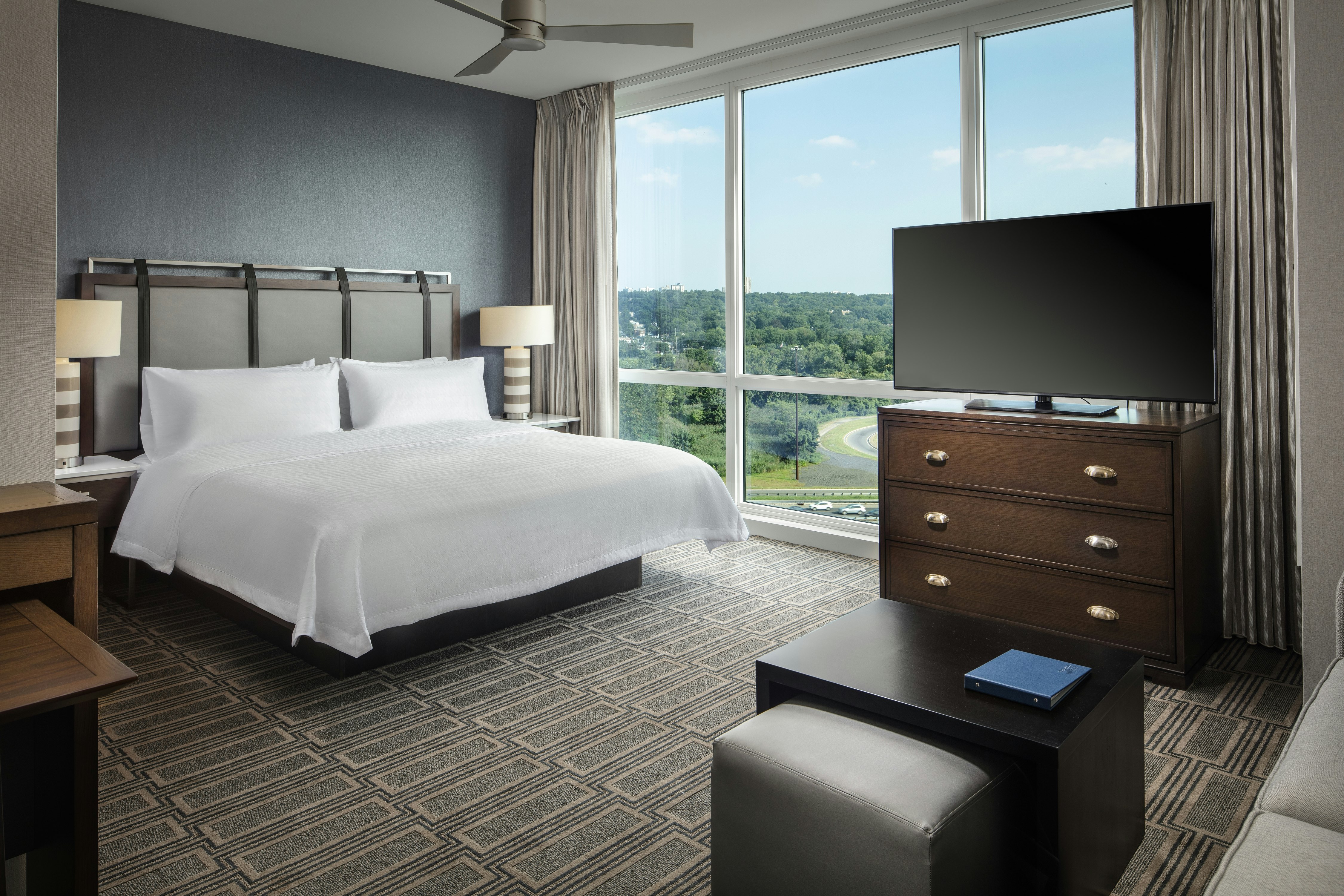 Studio, Suite, King Bed