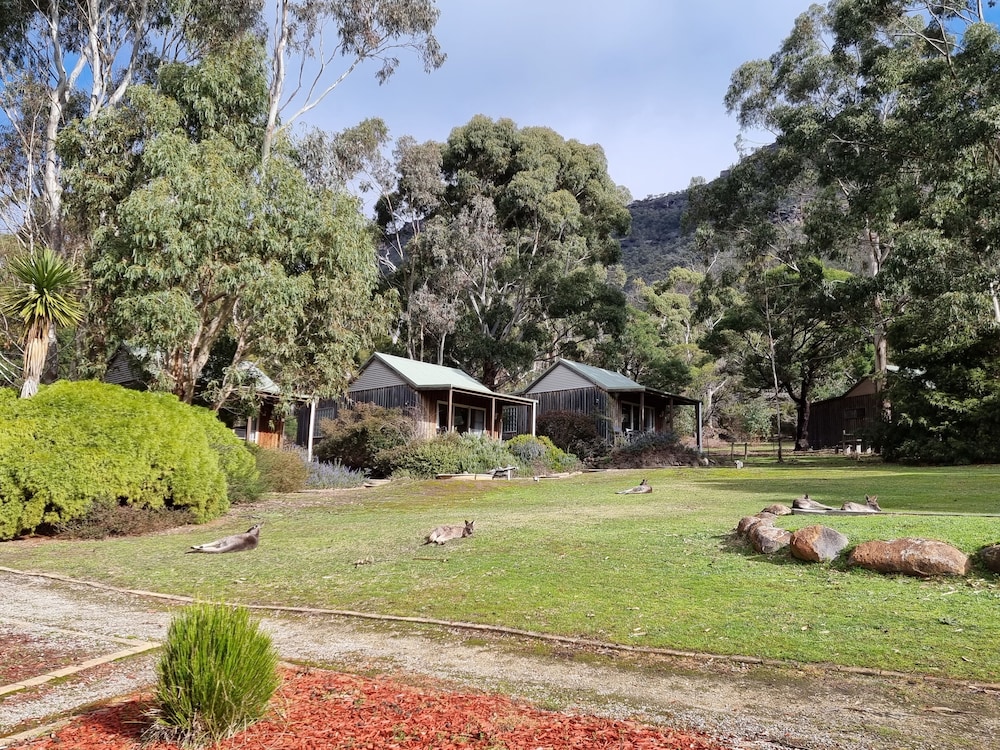 D'Altons Resort 10/50