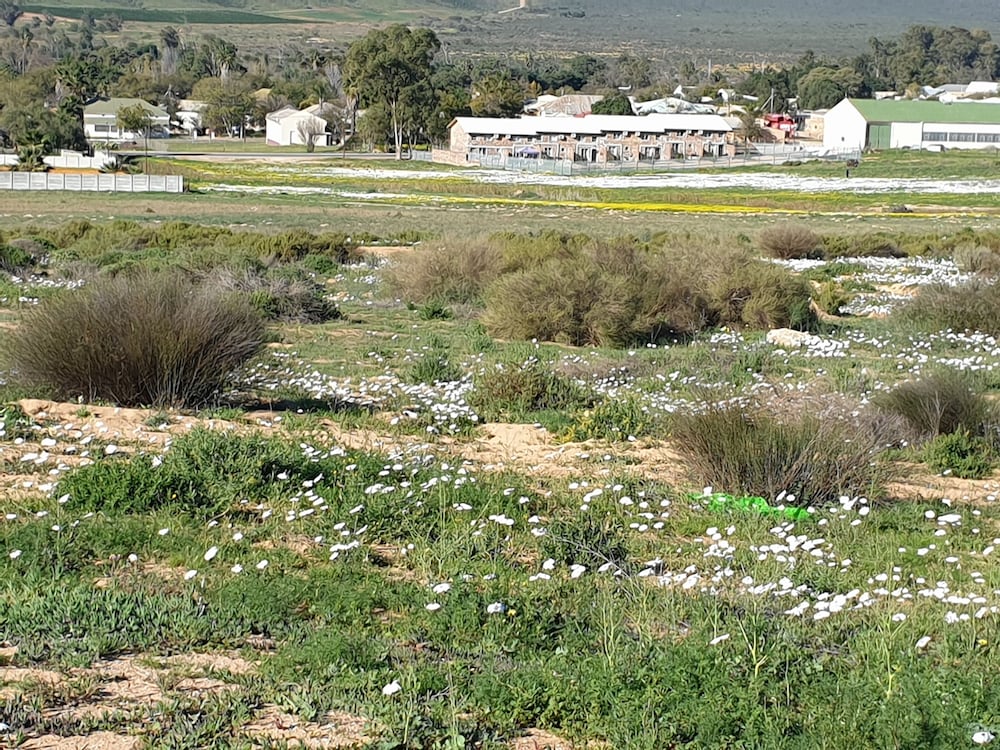 Clanwilliam Accommodation 44/46