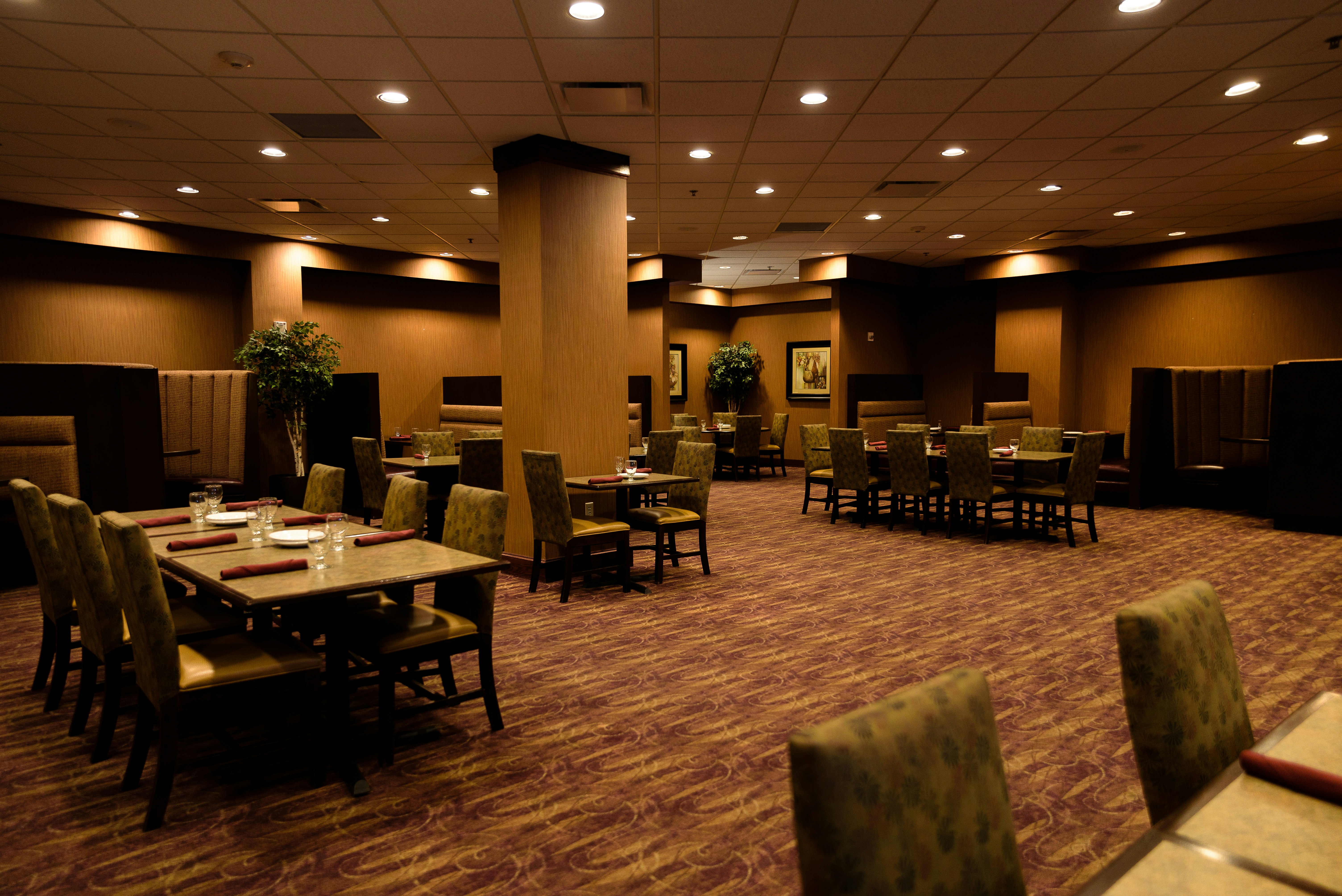 Embassy Suites by Hilton Minneapolis North 56/72