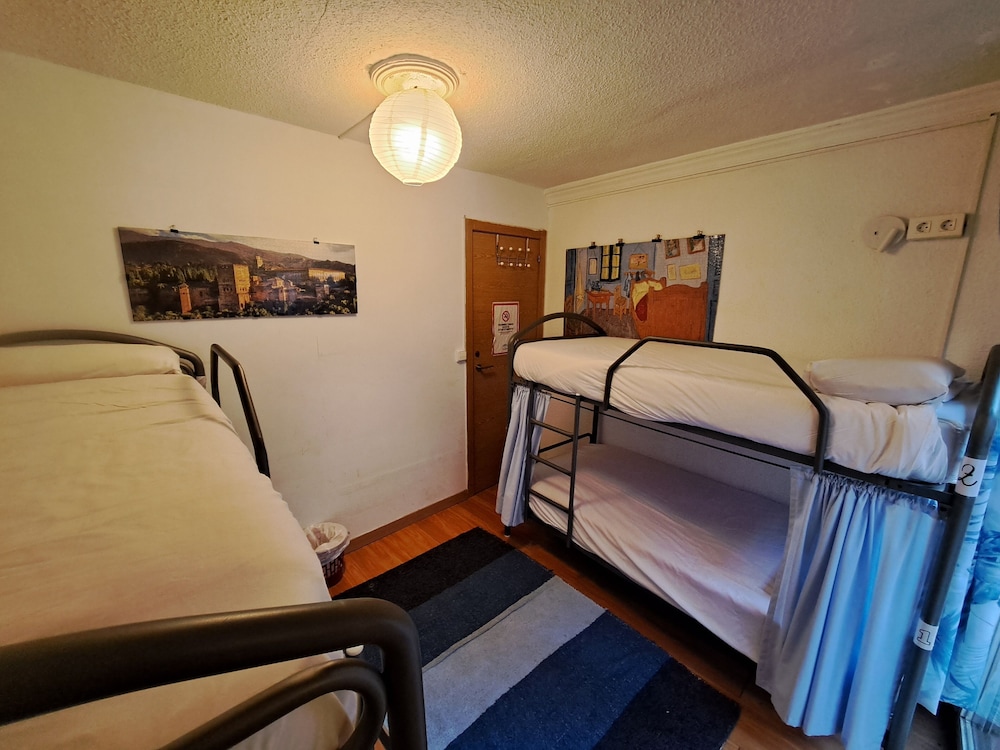 Female Dorm, Female Only, Standard, 4 Bunk Beds