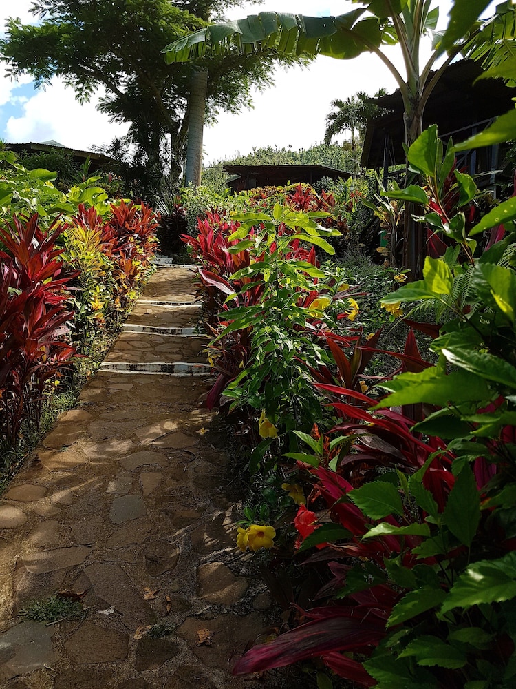 Hibiscus Valley Inn 35/50