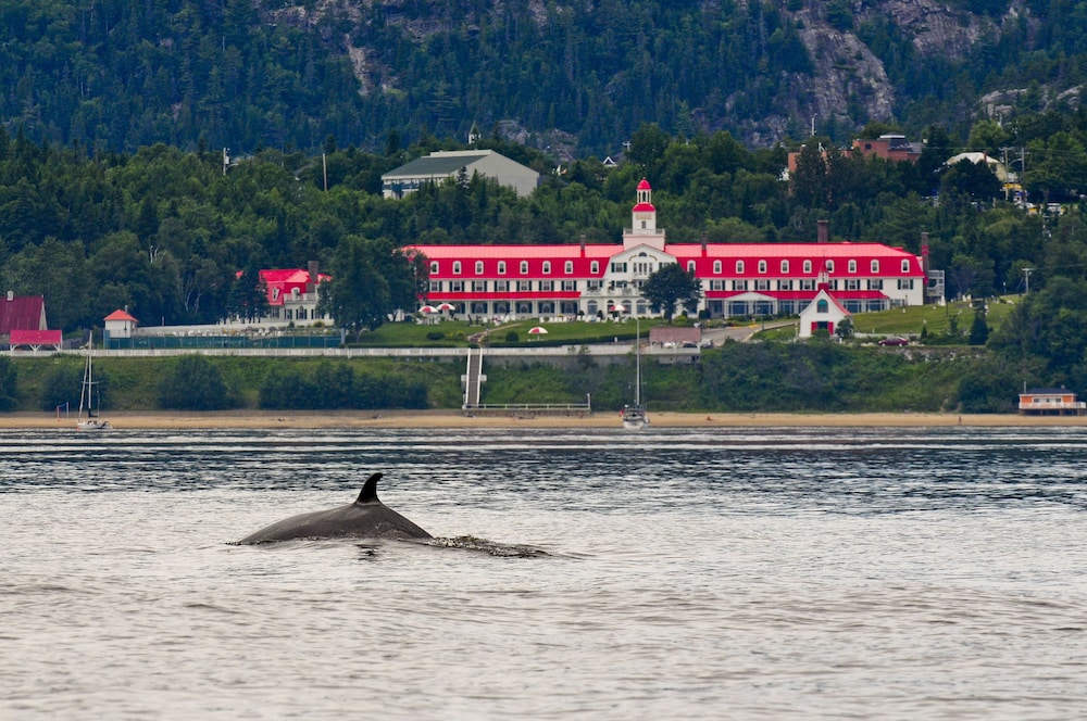 Tadoussac Hotel Seasonal Hotel 60/72