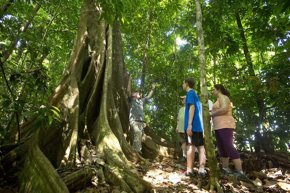 Bosque del Cabo Rain Forest Lodge 39/42
