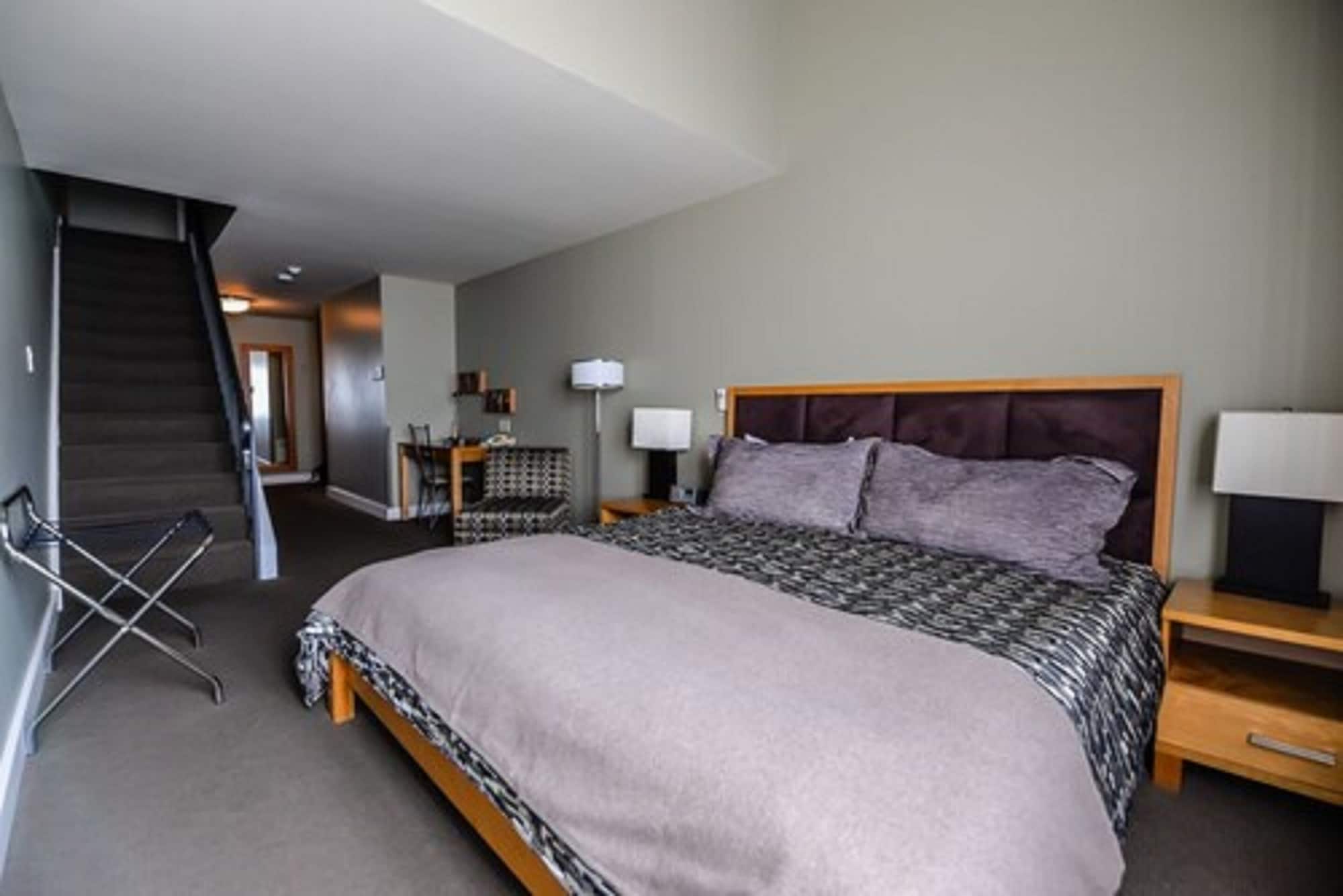 Bi Level, Loft, Standard, 1 King and 1 Single Beds