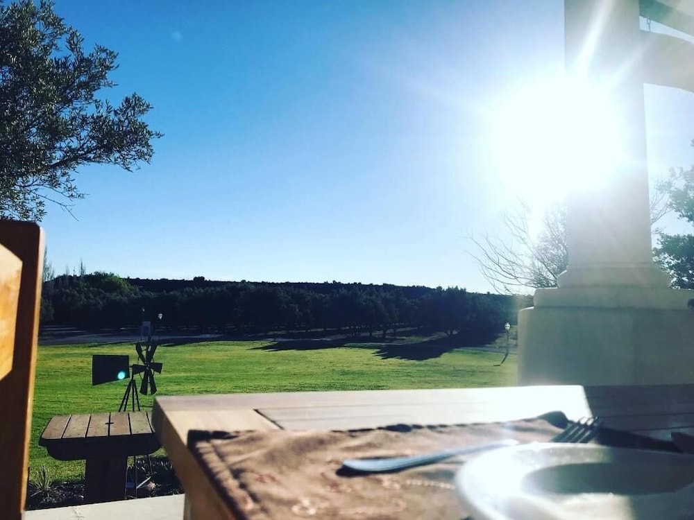 Olive Grove Guest Farm 45/50