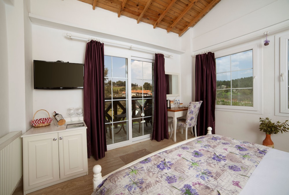 Vinifera Vineyards Hotel 18/50