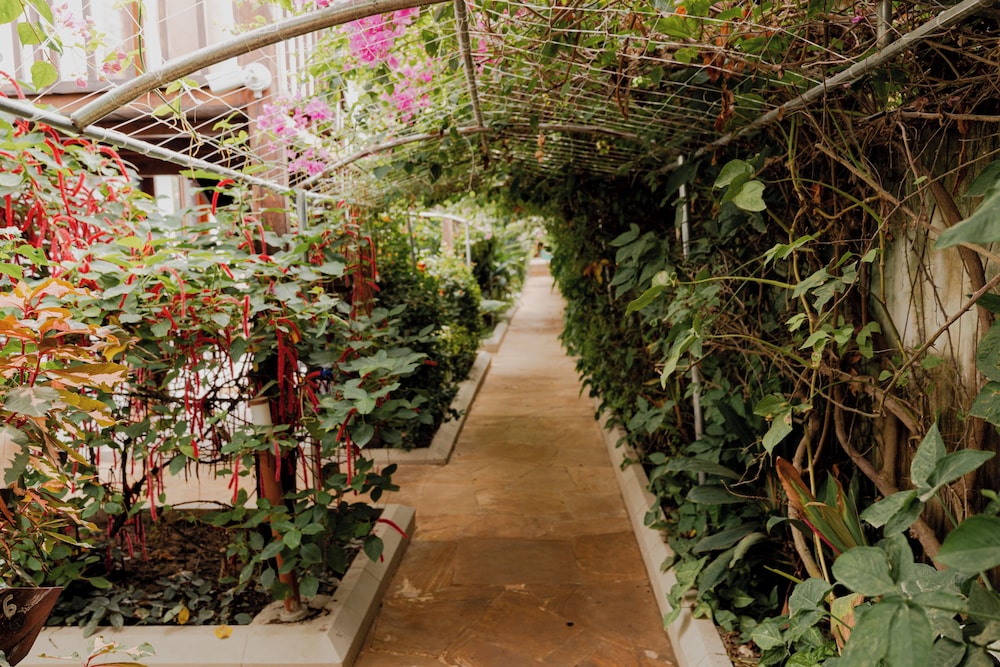 Zanzibella Hotel & SPA 43/50