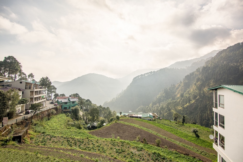 Sterling Nainital 44/47