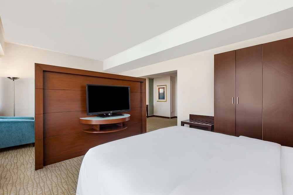 RADISSON BLU HOTEL ANKARA 13/72