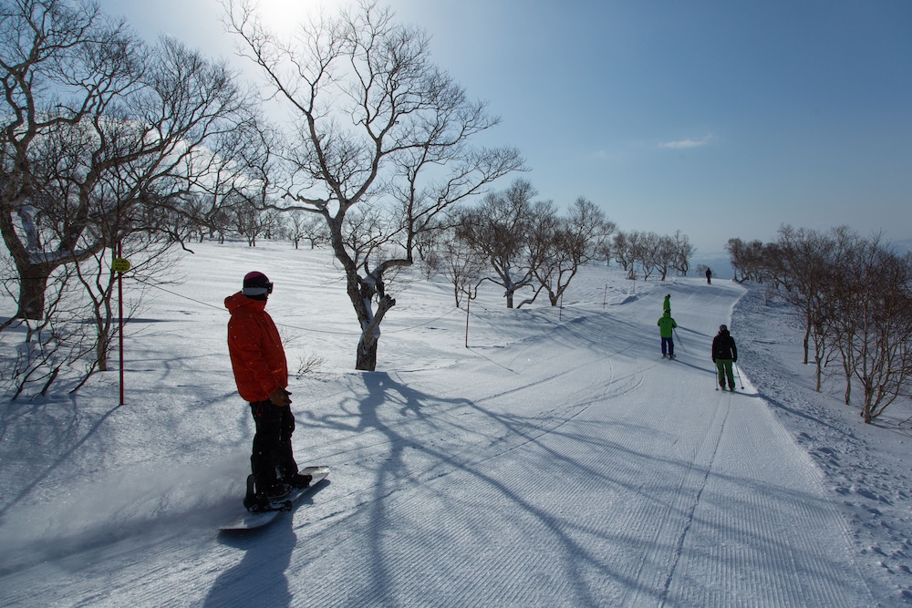 Hinode Hills Niseko Village 27/48