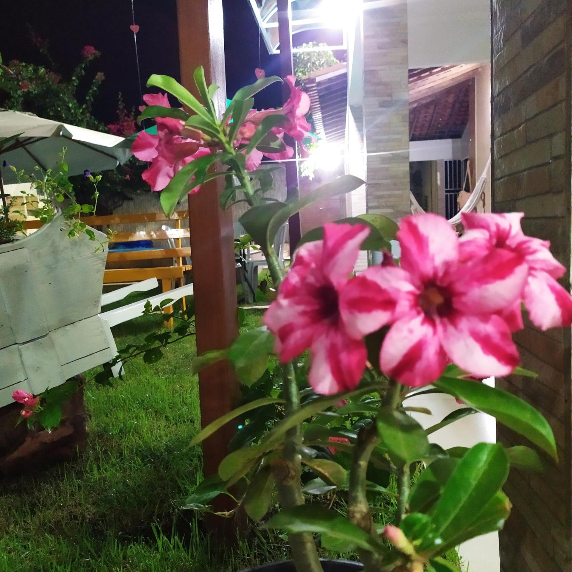 Pousada Barreirinhas House 29/50
