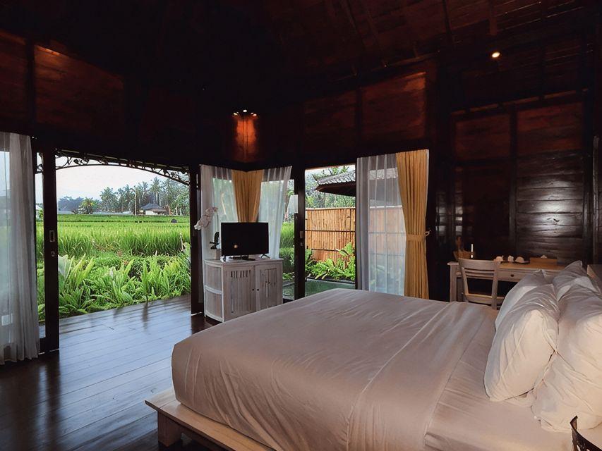 1 Bedroom, Rice Field, Villa, King Bed, Private Pool