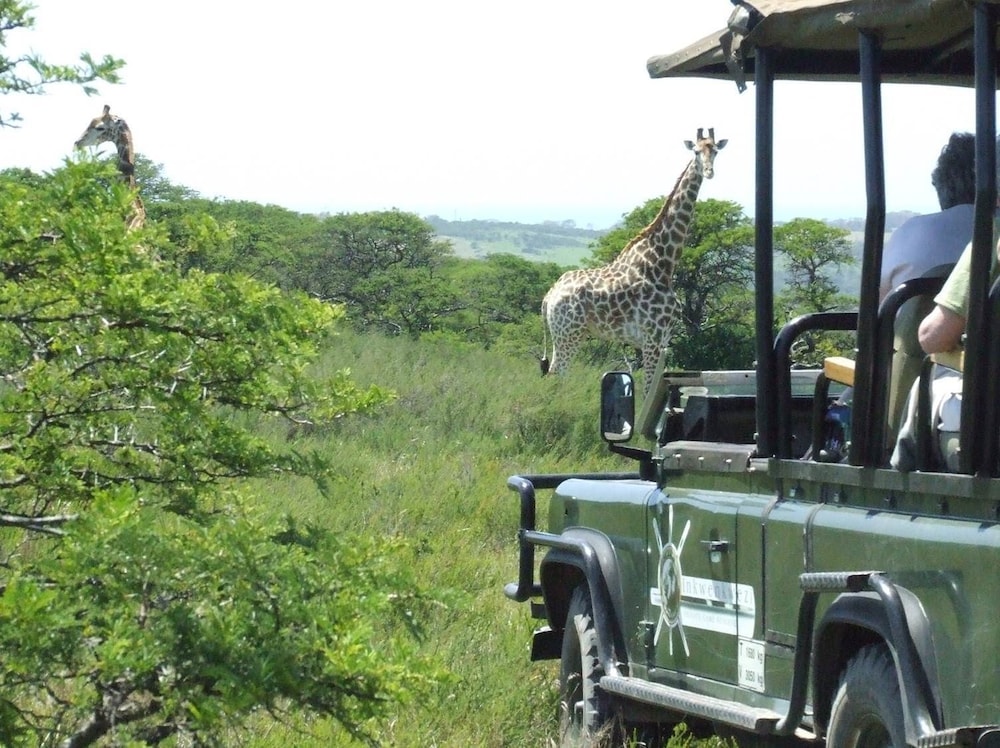 Inkwenkwezi Private Game Reserve 46/50