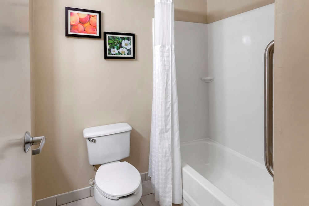 Comfort Inn & Suites Canton Riverstone Area 13/30