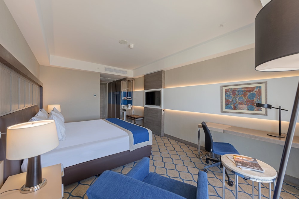HOLIDAY INN KAYSERI - DUVENONU 12/62