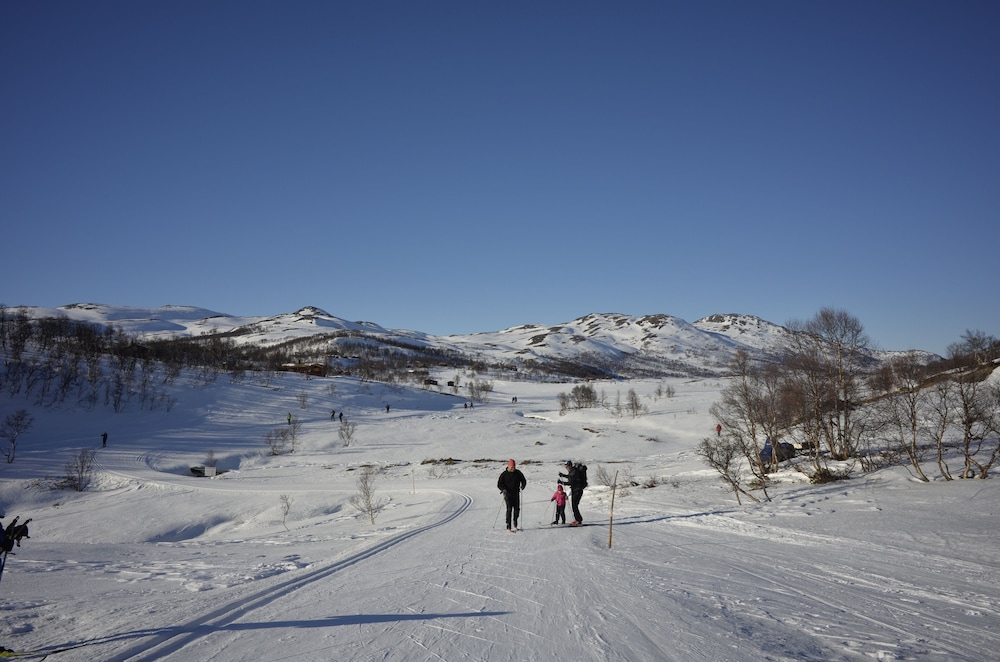 Oppdal Turisthotell 58/61
