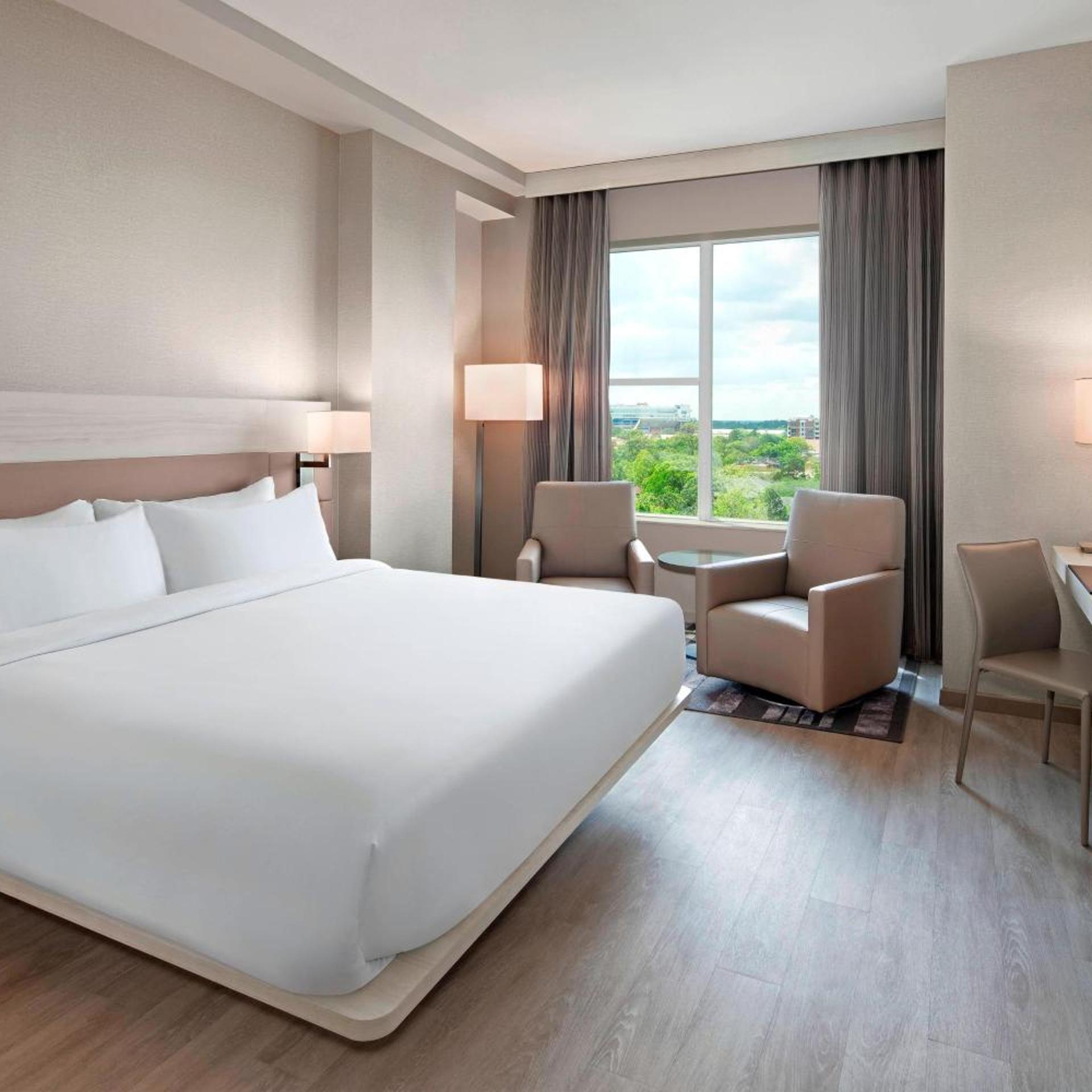 Room, King Bed, Campus View