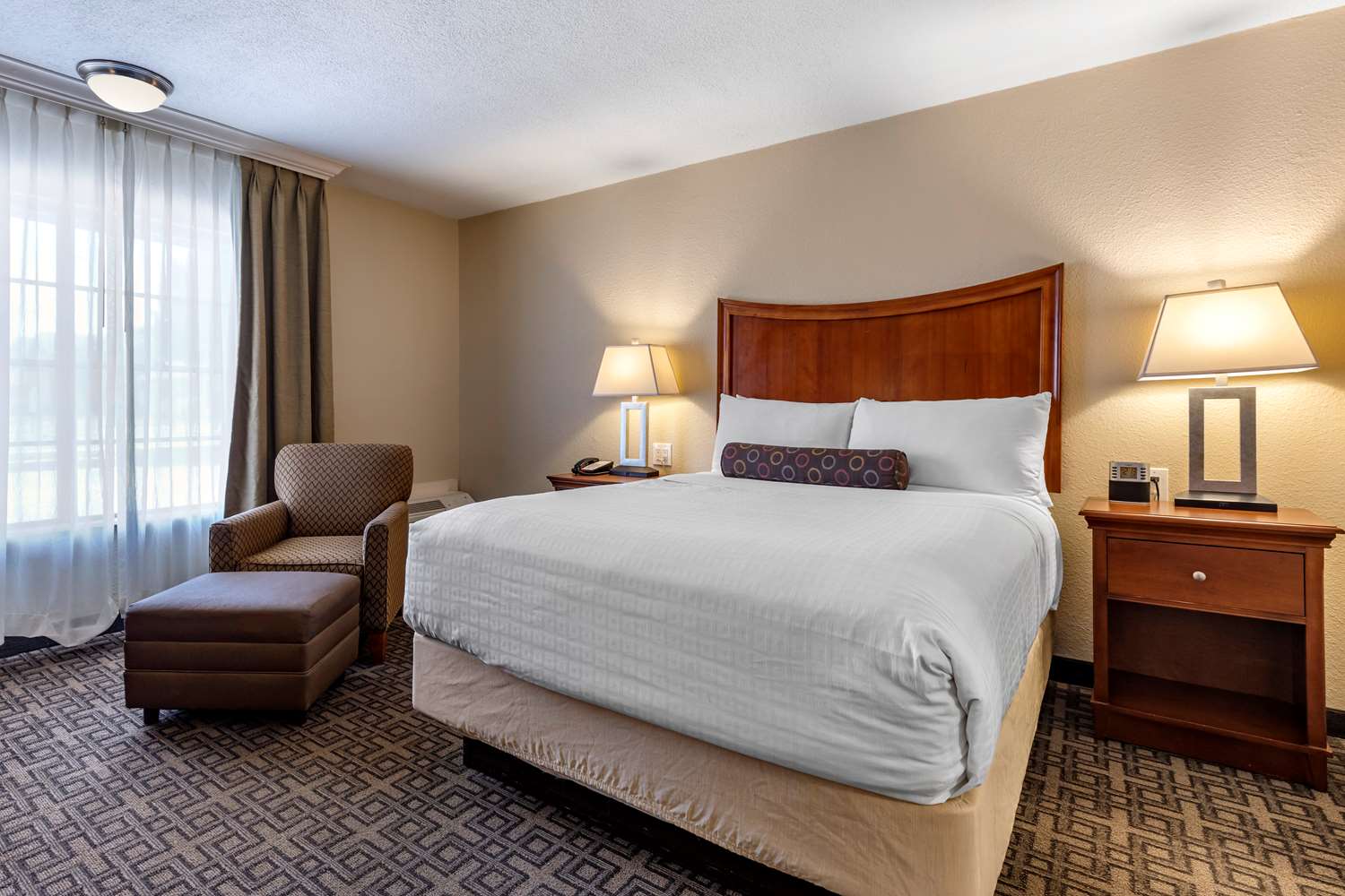 Room, Queen Bed