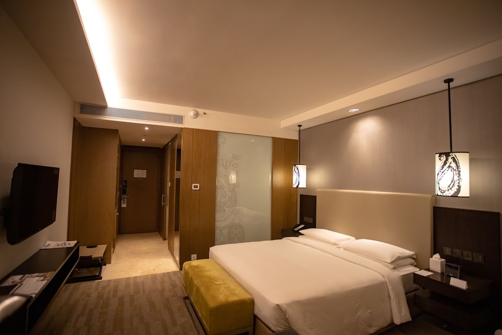 Hyatt Regency Ahmedabad 43/80