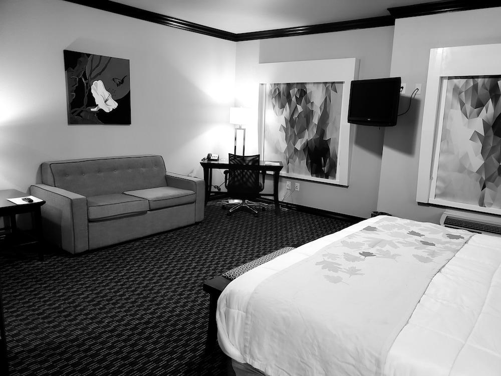 Hawthorn Suites by Wyndham Lubbock 42/92