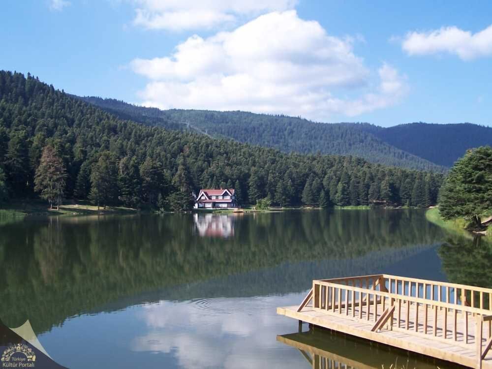 Elit Palace Bolu 35/40