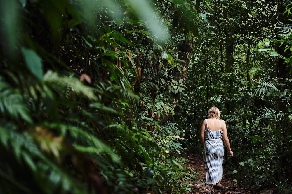 Daintree Ecolodge 39/50