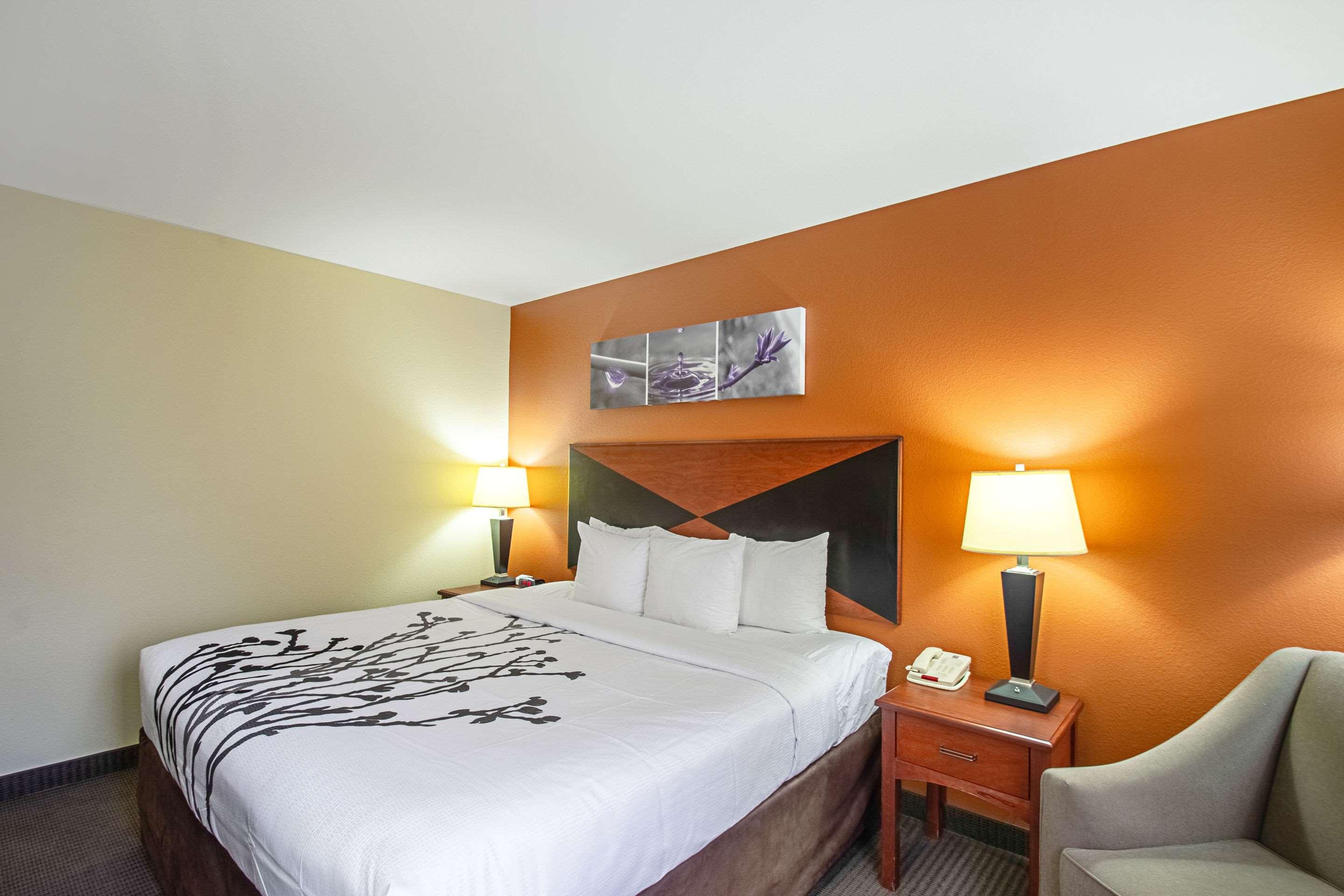 ROOM, KING BED