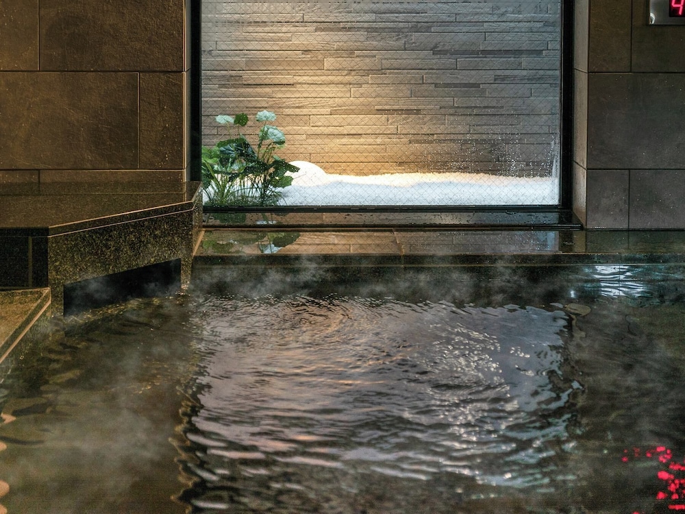 Super Hotel Premier Nagoya Tennenonsen Sakuradoriguchi 49/64