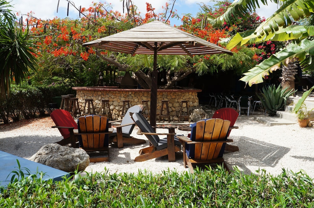 Caribbean Chillout 30/35