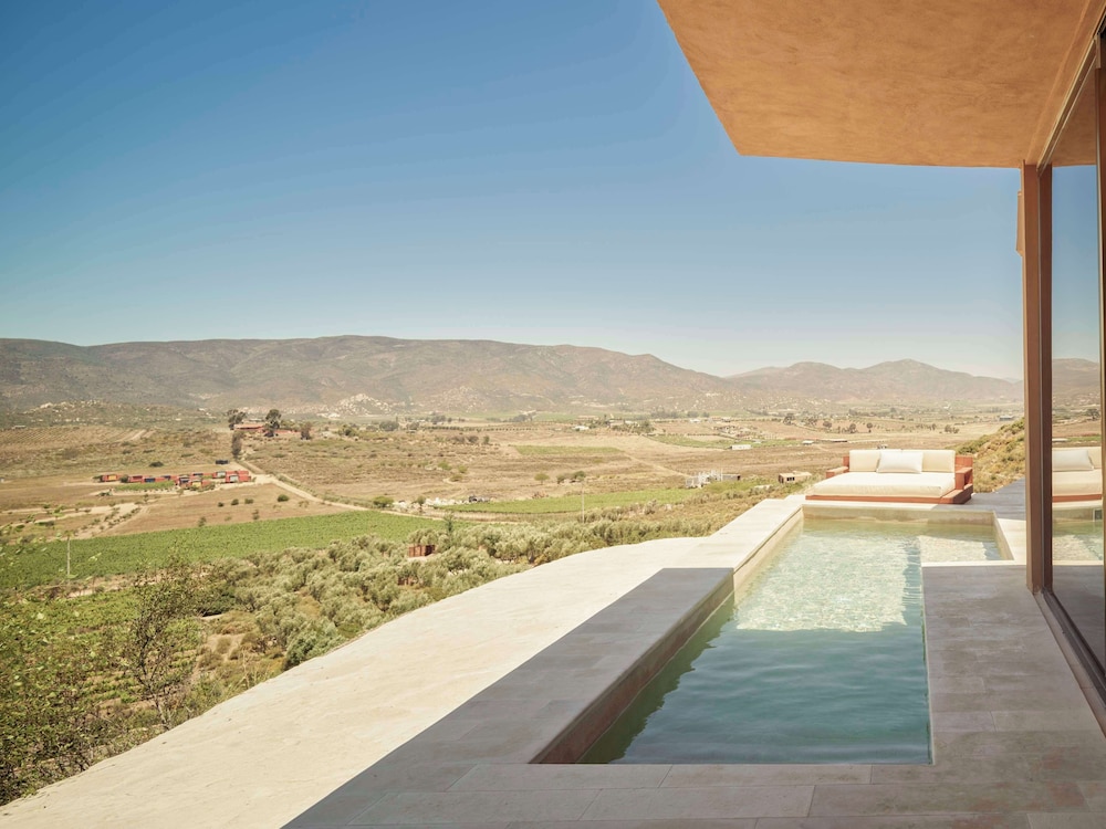 Banyan Tree Veya Valle de Guadalupe 87/91