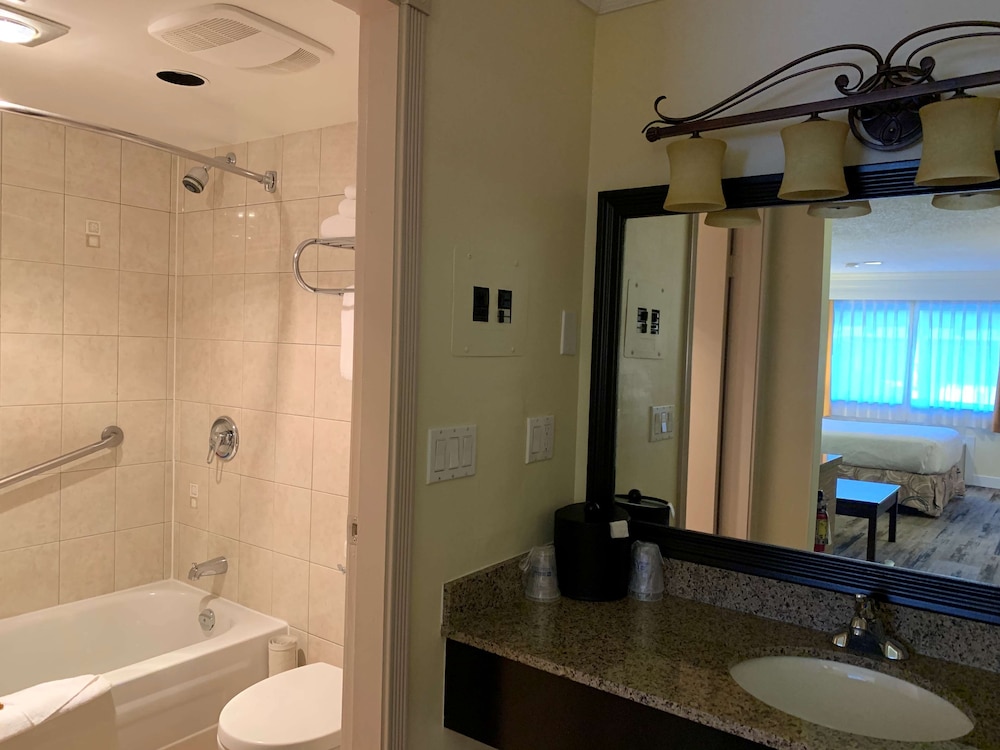 Best Western Plus Burnaby Hotel 38/76