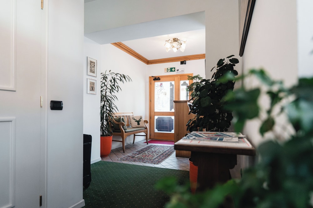 Hotel Oasi 33/50