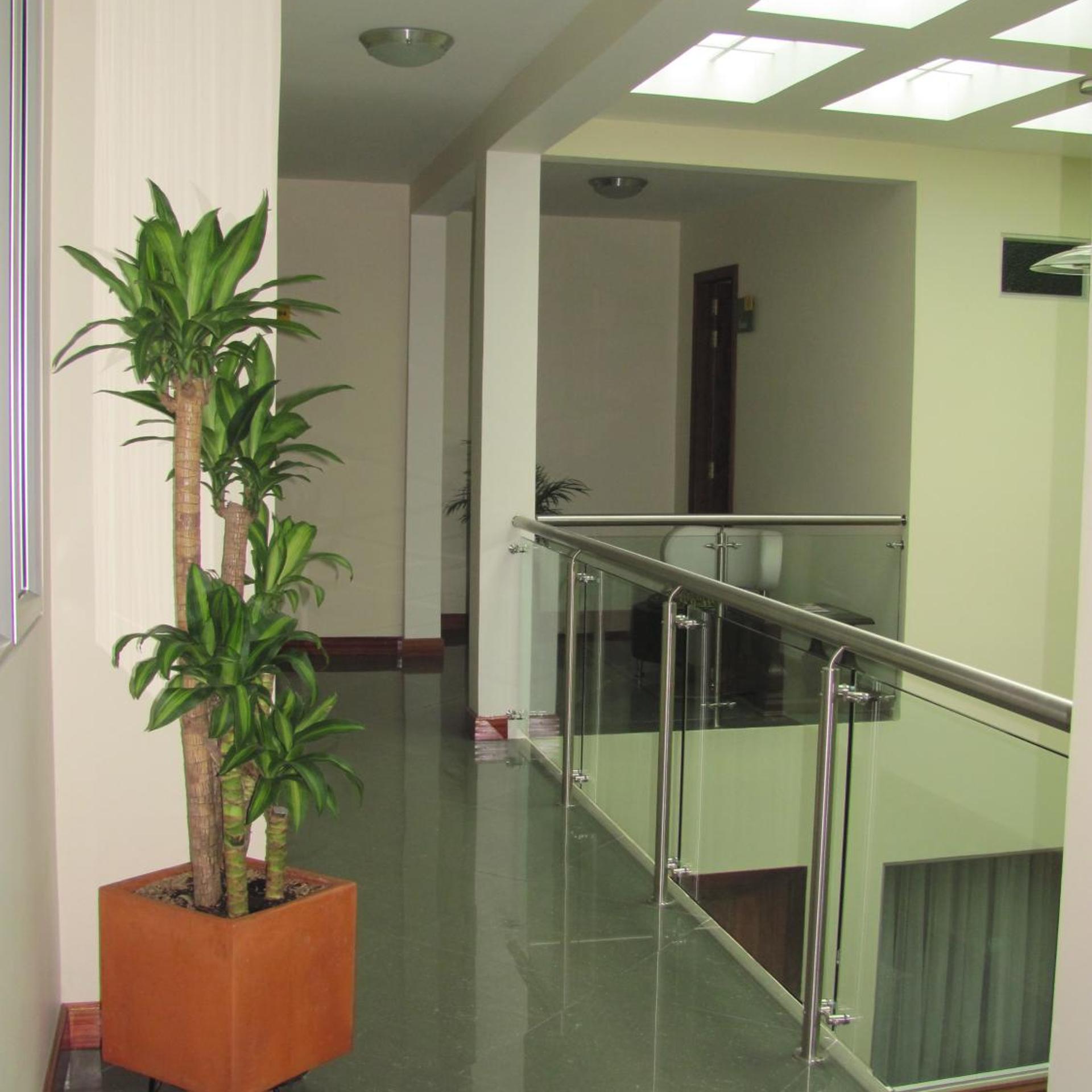 Apartahotel Vincent Suites 9/50