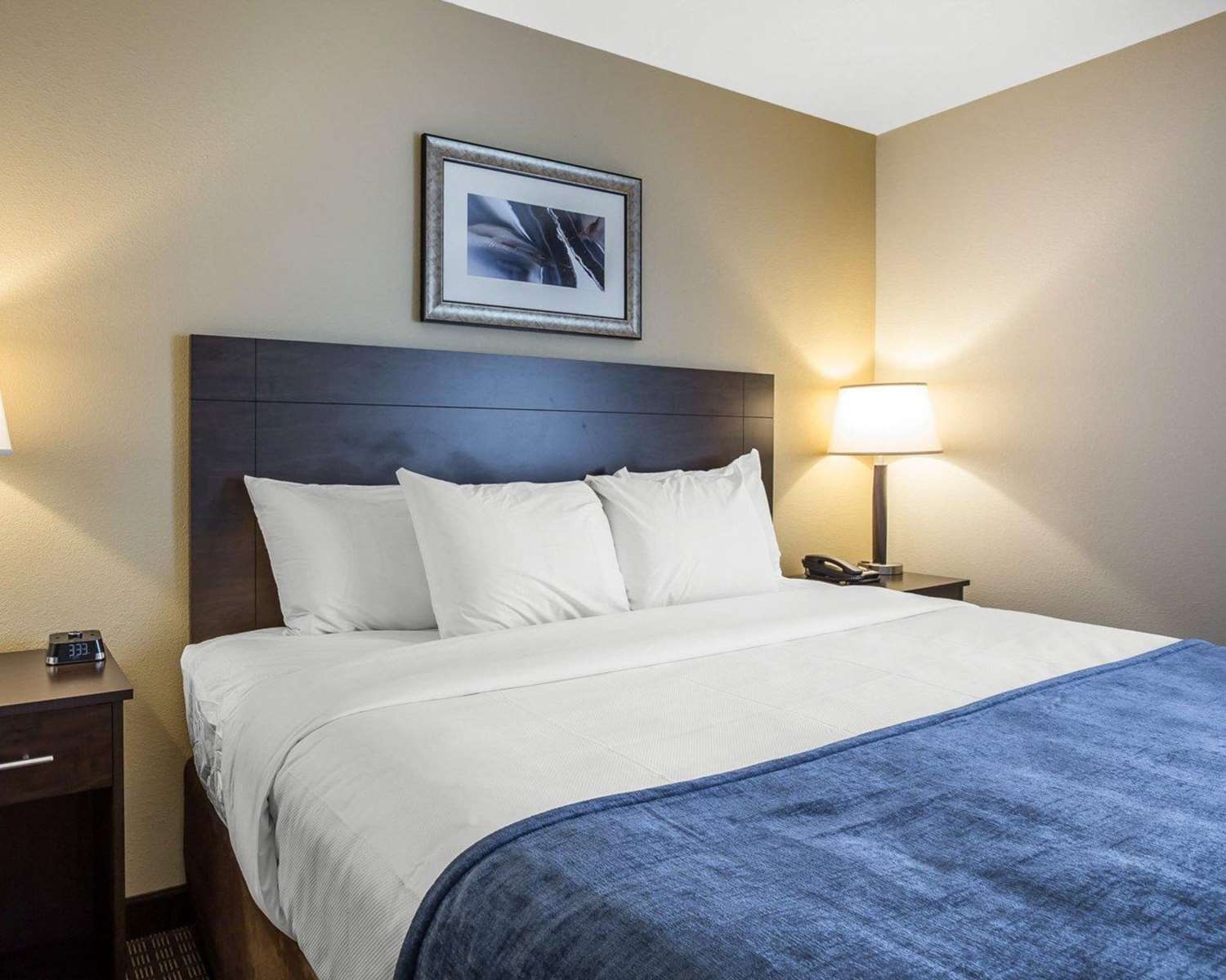 Efficiency, Suite, King Bed