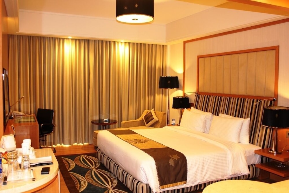 Radisson Blu Hotel Nagpur 22/70