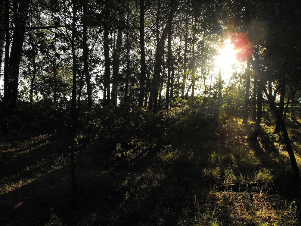 surroundings
